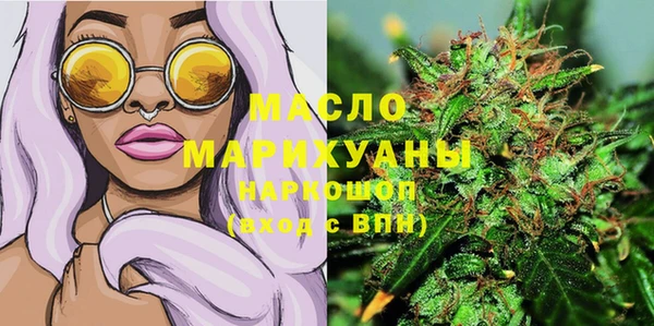 сатива Вяземский