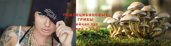 крисы Вязники