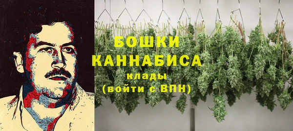 сатива Вяземский