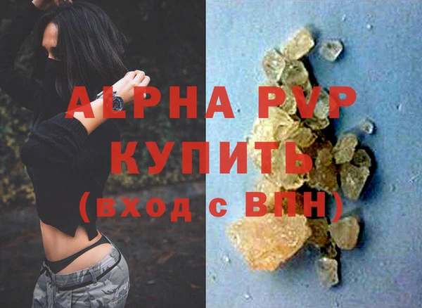 сатива Вяземский
