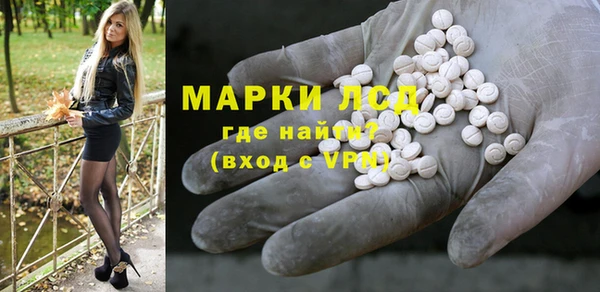 сатива Вяземский
