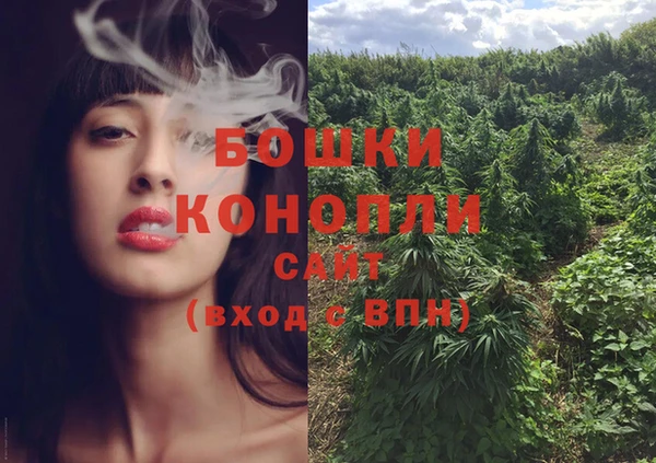сатива Вяземский
