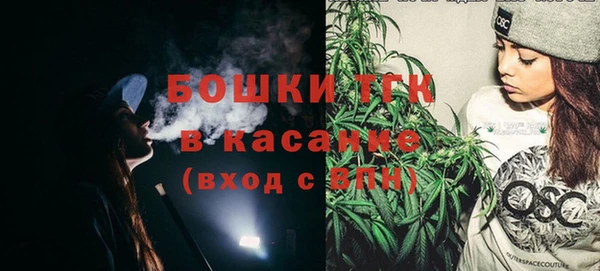сатива Вяземский