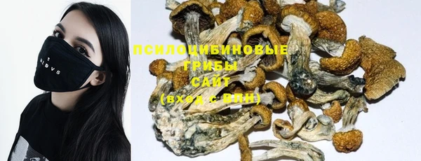 мескалин Вязьма